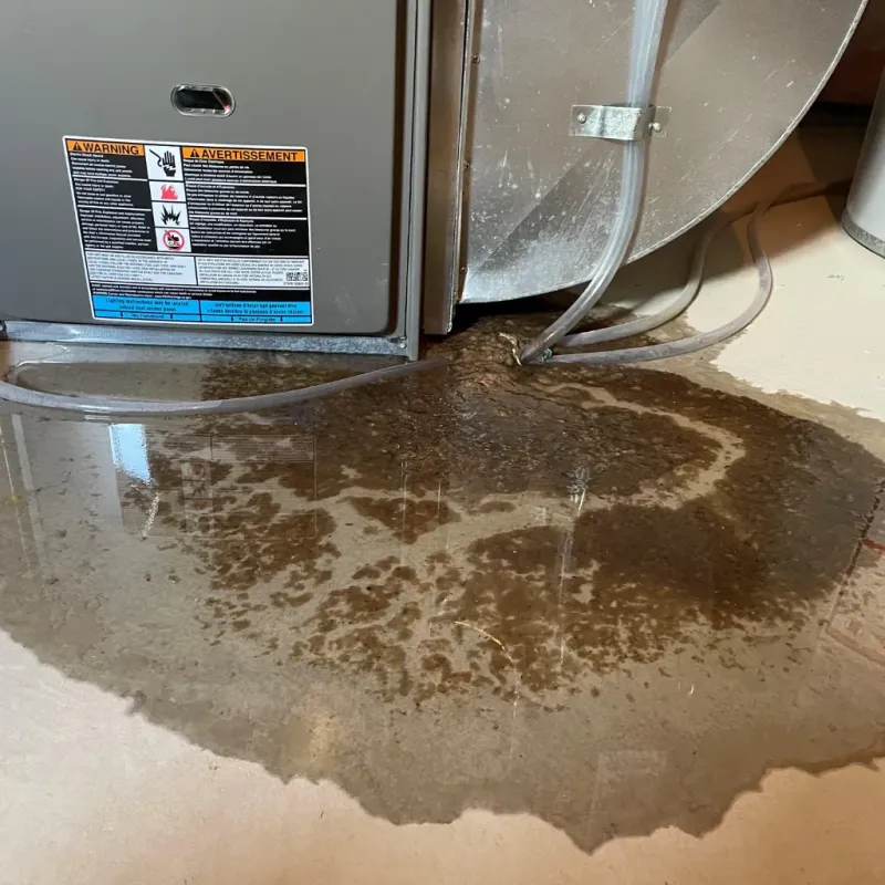 Appliance Leak Cleanup in Elk Ridge, UT