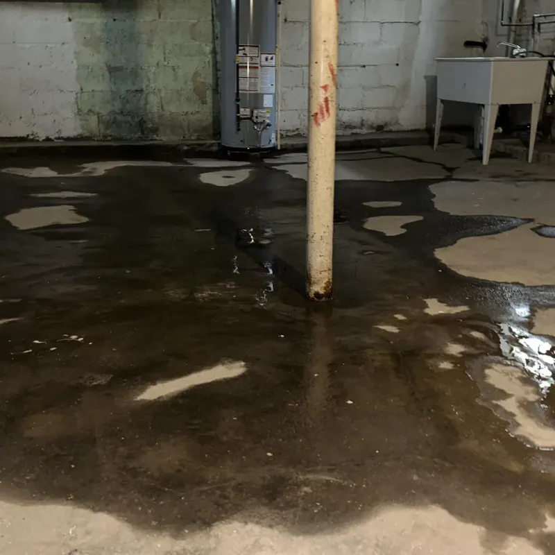 Emergency Water Extraction And Removal in Elk Ridge, UT